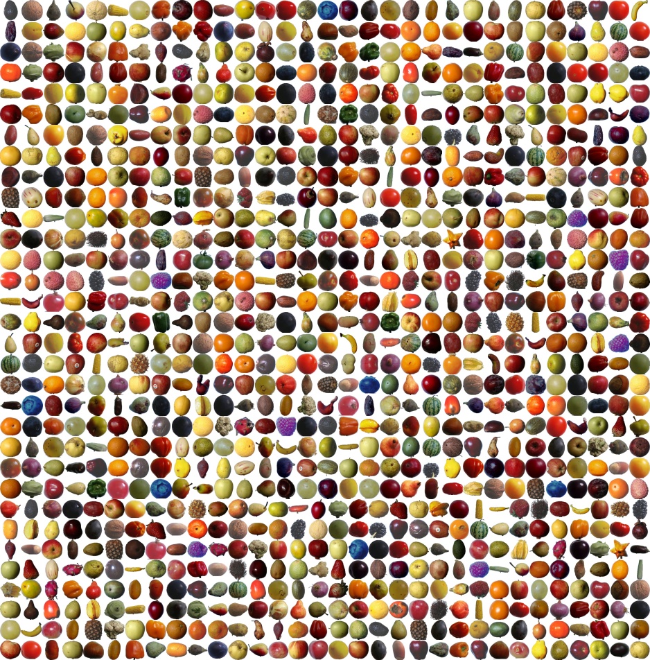 unlabelled montage of a larger random sample