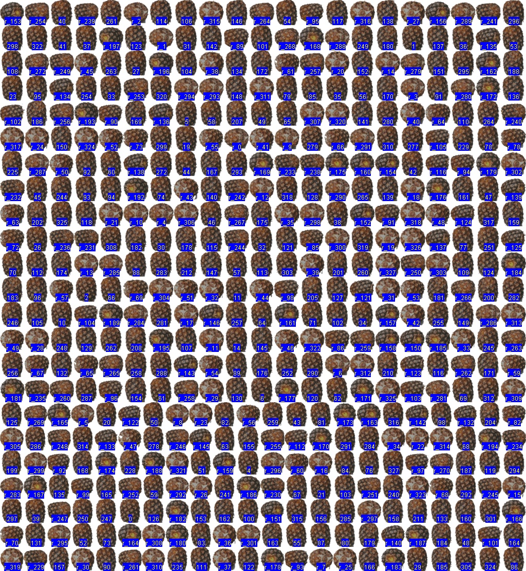 shuffled montage of pineapples