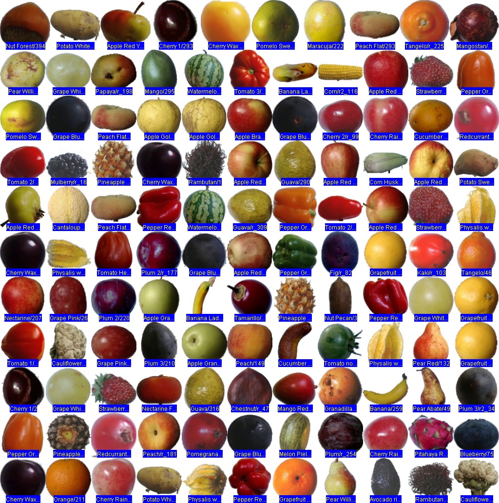 labelled montage of a random sample